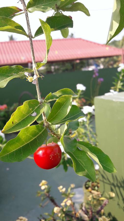 Heavenly Homestay Kochi Екстериор снимка