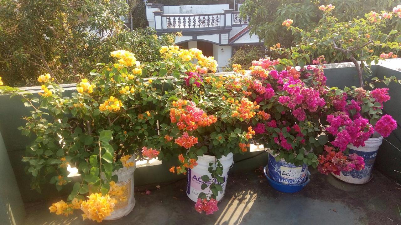 Heavenly Homestay Kochi Екстериор снимка