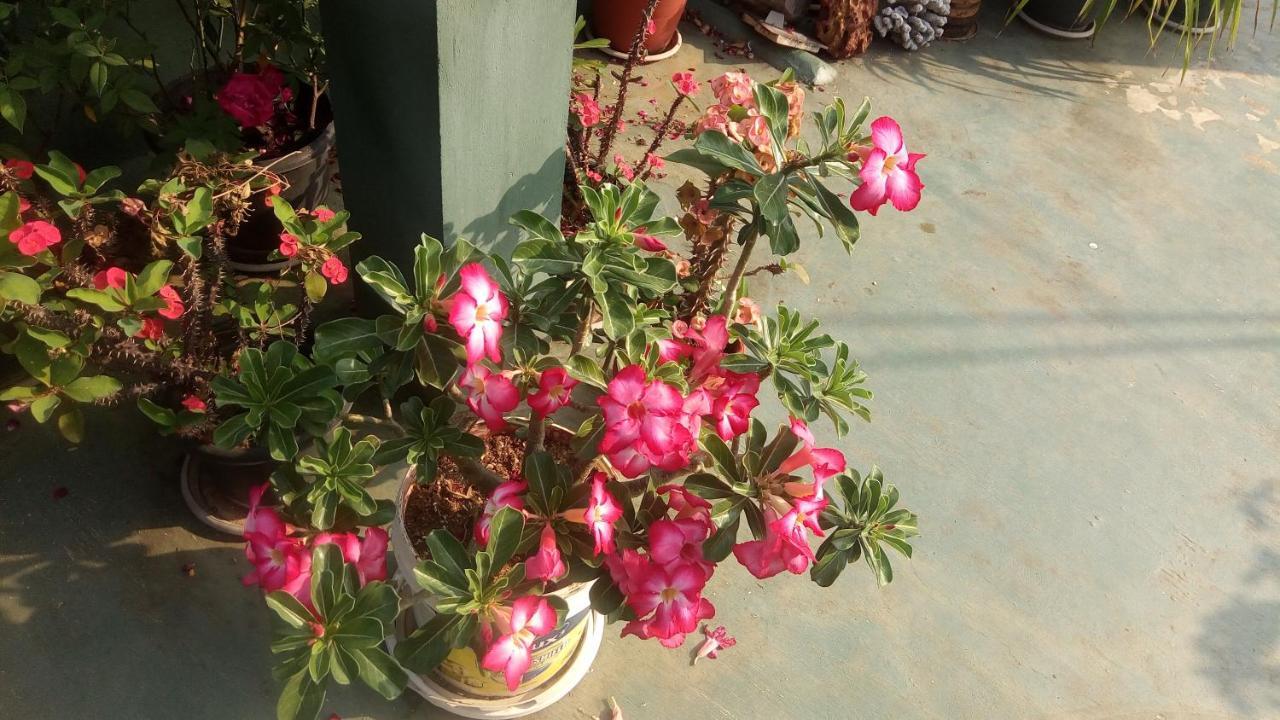 Heavenly Homestay Kochi Екстериор снимка
